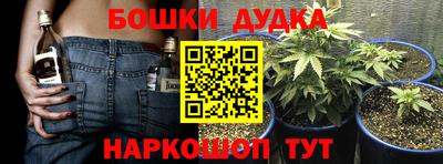 ПСИЛОЦИБИНОВЫЕ ГРИБЫ Заволжье