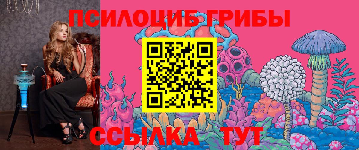 Псилоцибиновые грибы прущие грибы  Псилоцибиновые грибы Magic Shrooms  Вход с VPN  Дятьково 