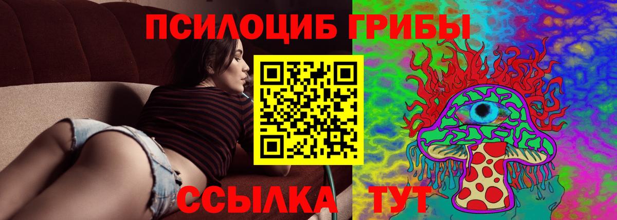Псилоцибиновые грибы Magic Shrooms Дятьково